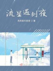 流星遇到夜空注定要分离啥歌