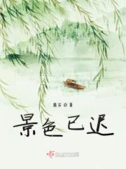 景色的意思是什么