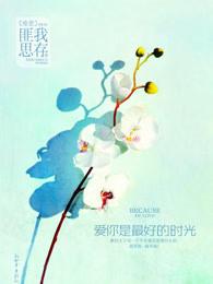 爱你是最好的时光讲什么