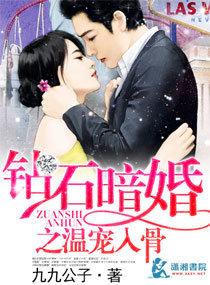 钻石暗婚之免费阅读全文