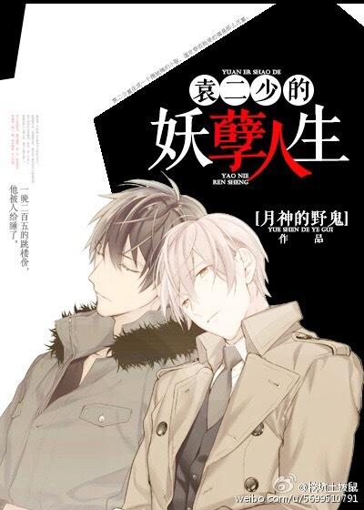 袁二少的妖孽人生TXT 最新章节列表