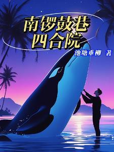 南锣鼓巷四合院房型图