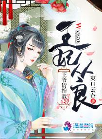 王妃从天降王爷接好了