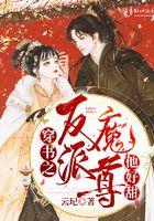 穿书之反派魔尊他好甜全文阅读