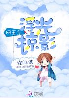 网王之浮光掠影百度